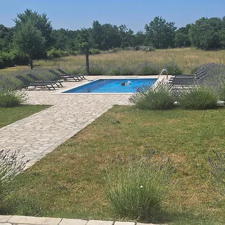 Vila House Aurora Borealis *