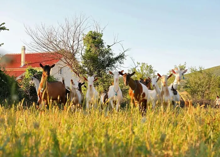 House Aurora Borealis Ervenik